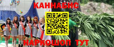 хмурый Гай