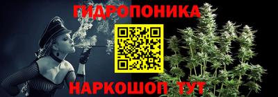 хмурый Гай