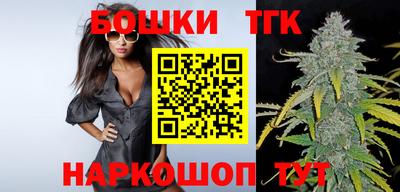 кокс Гатчина