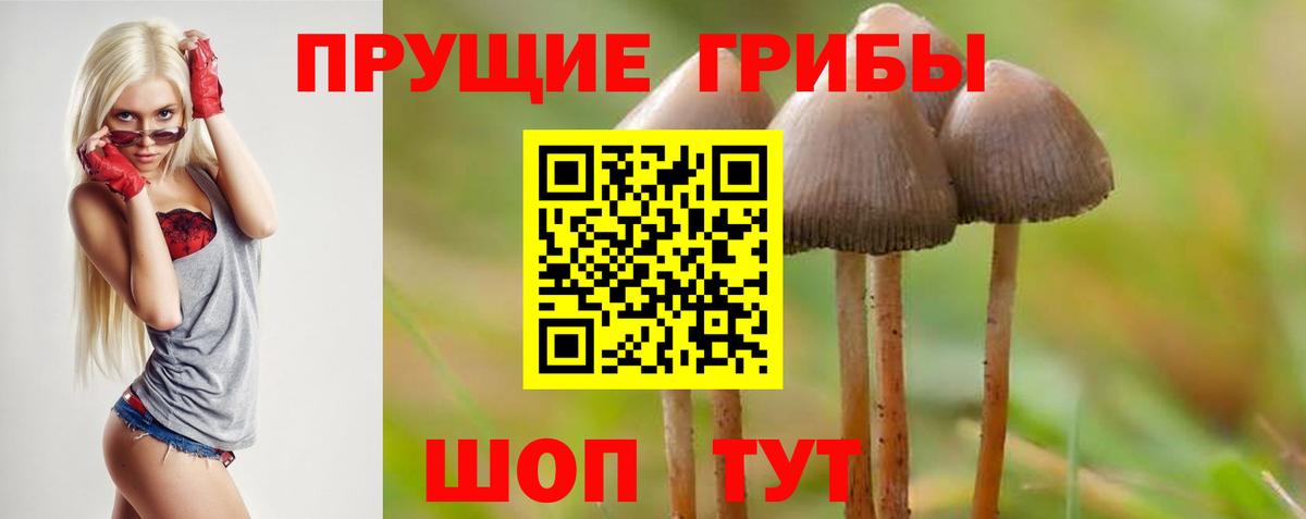 Псилоцибиновые грибы ЛСД  Вход с VPN  Мыски 